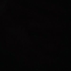 Meet your Posher, Loretta